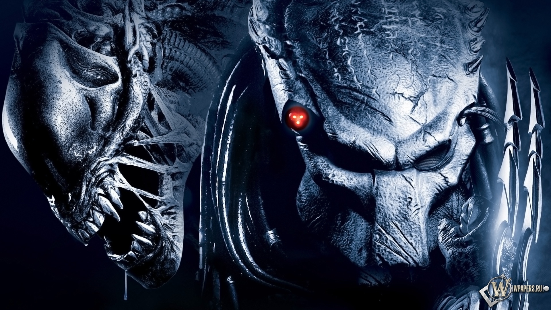 Movie Alien Vs Predator Wallpaper