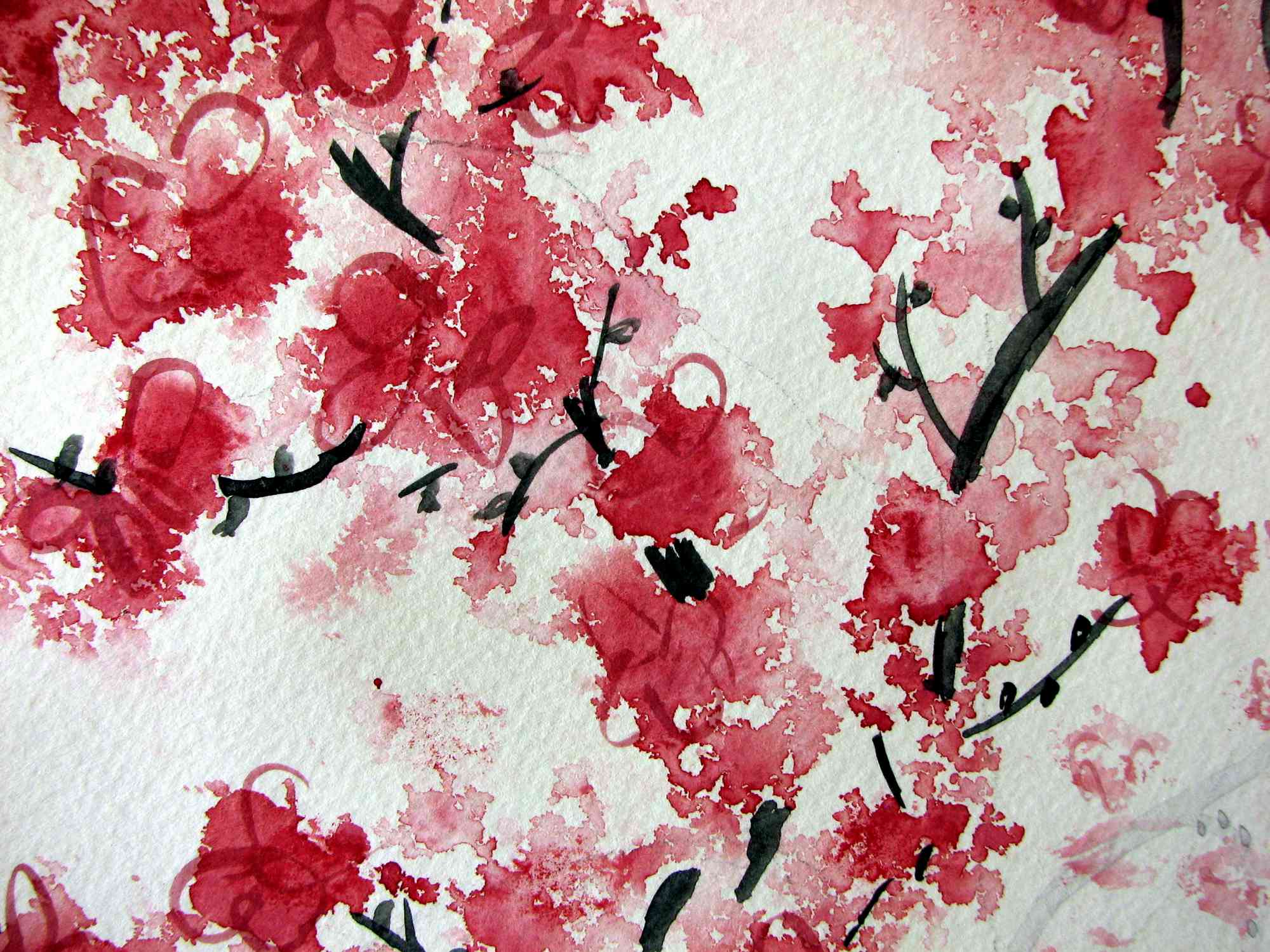 Cherry Blossom Drawing Wallpaper At Getdrawings