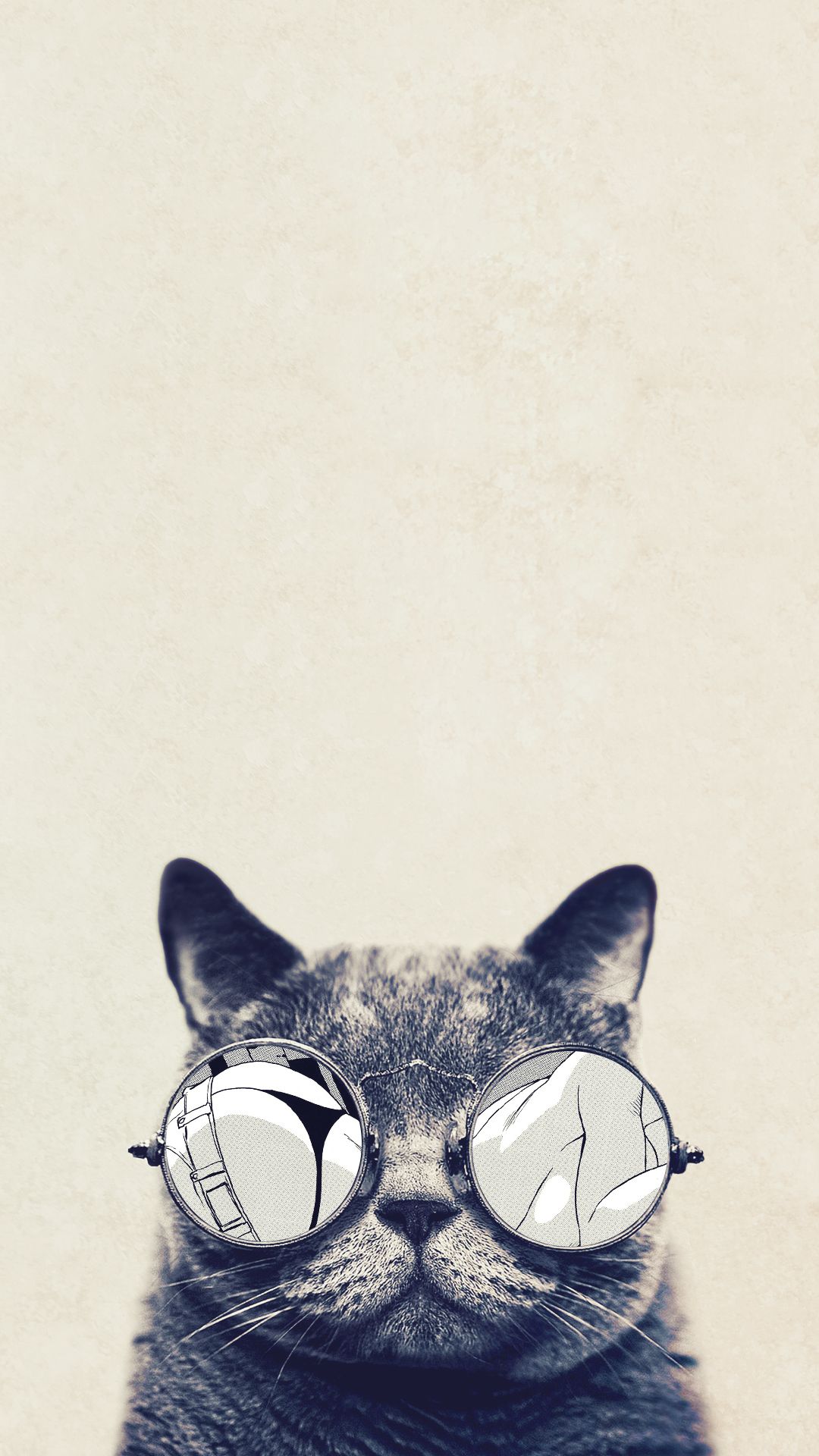Amazing Animal iPhone Wallpaper To Cats Cat