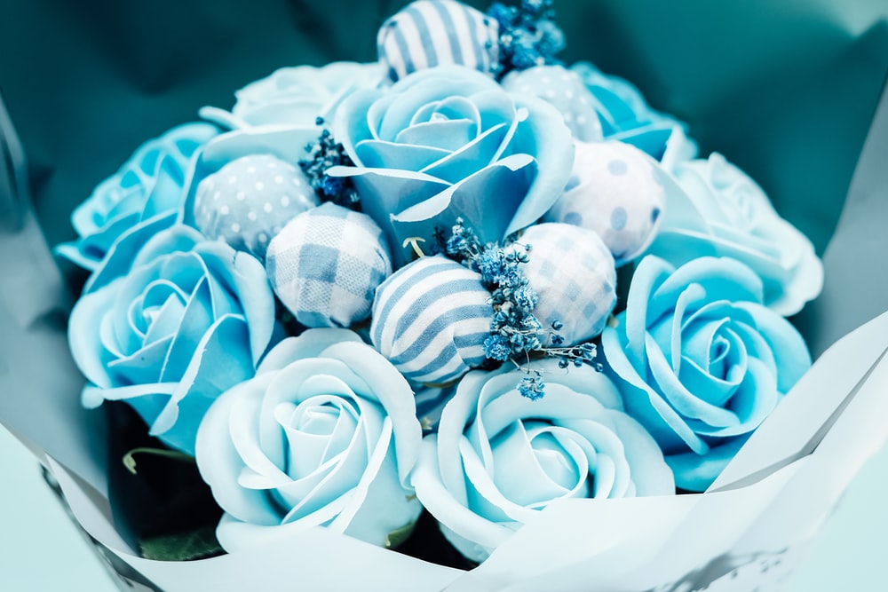 1000 Blue Rose Pictures Download Free Images on