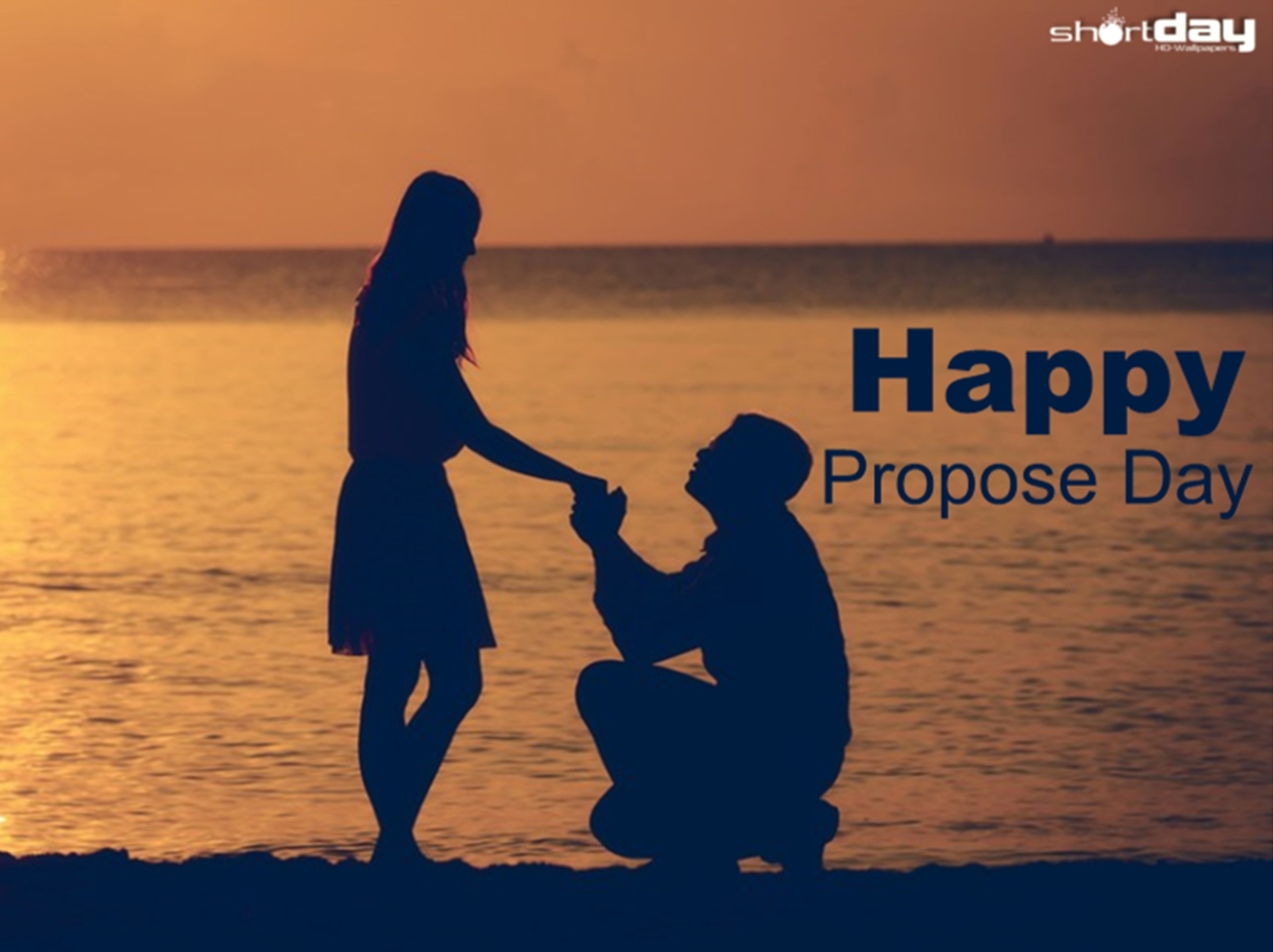 Happy Propose Day HD Wallpaper