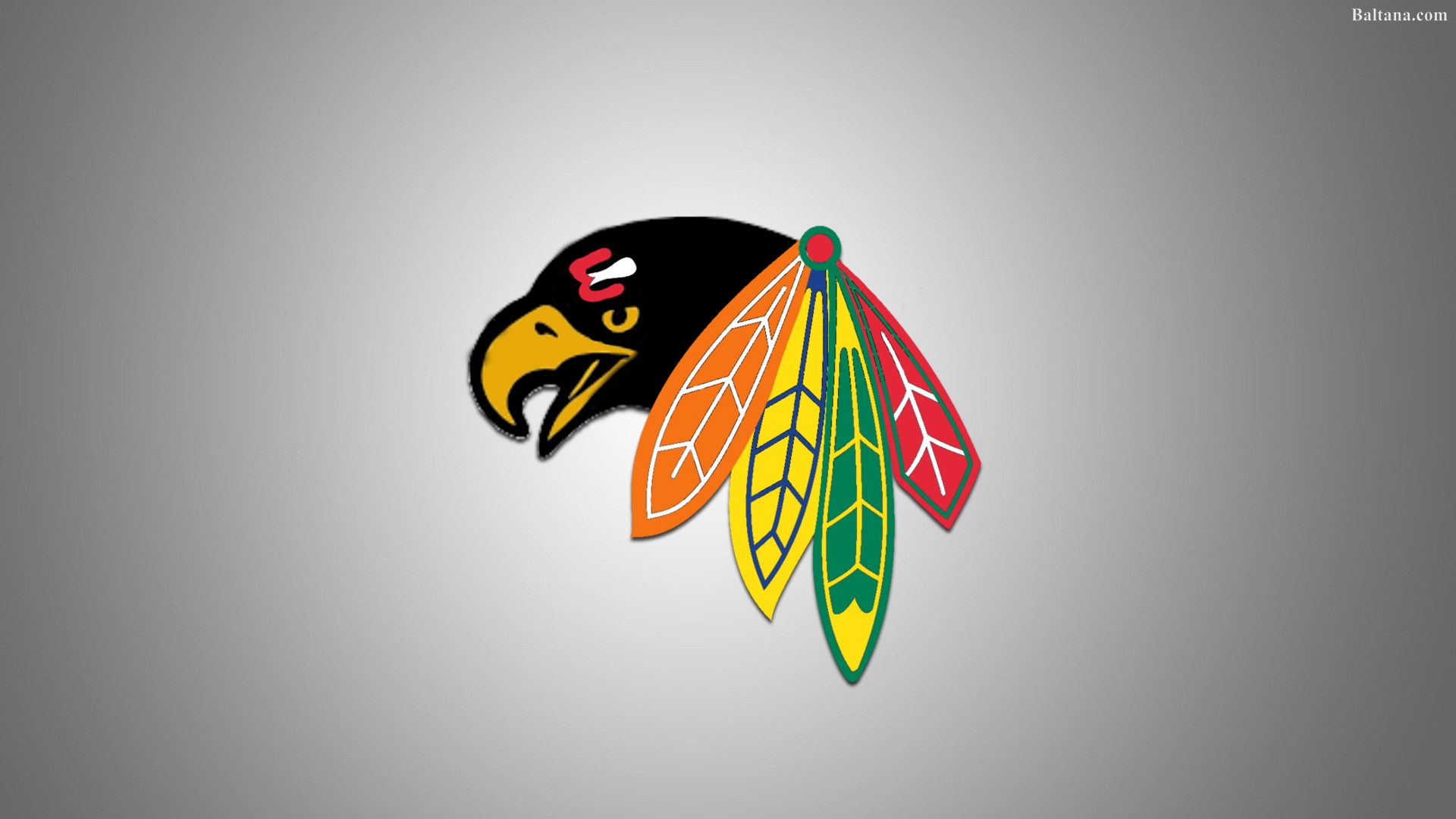 Chicago Blackhawks Wallpaper