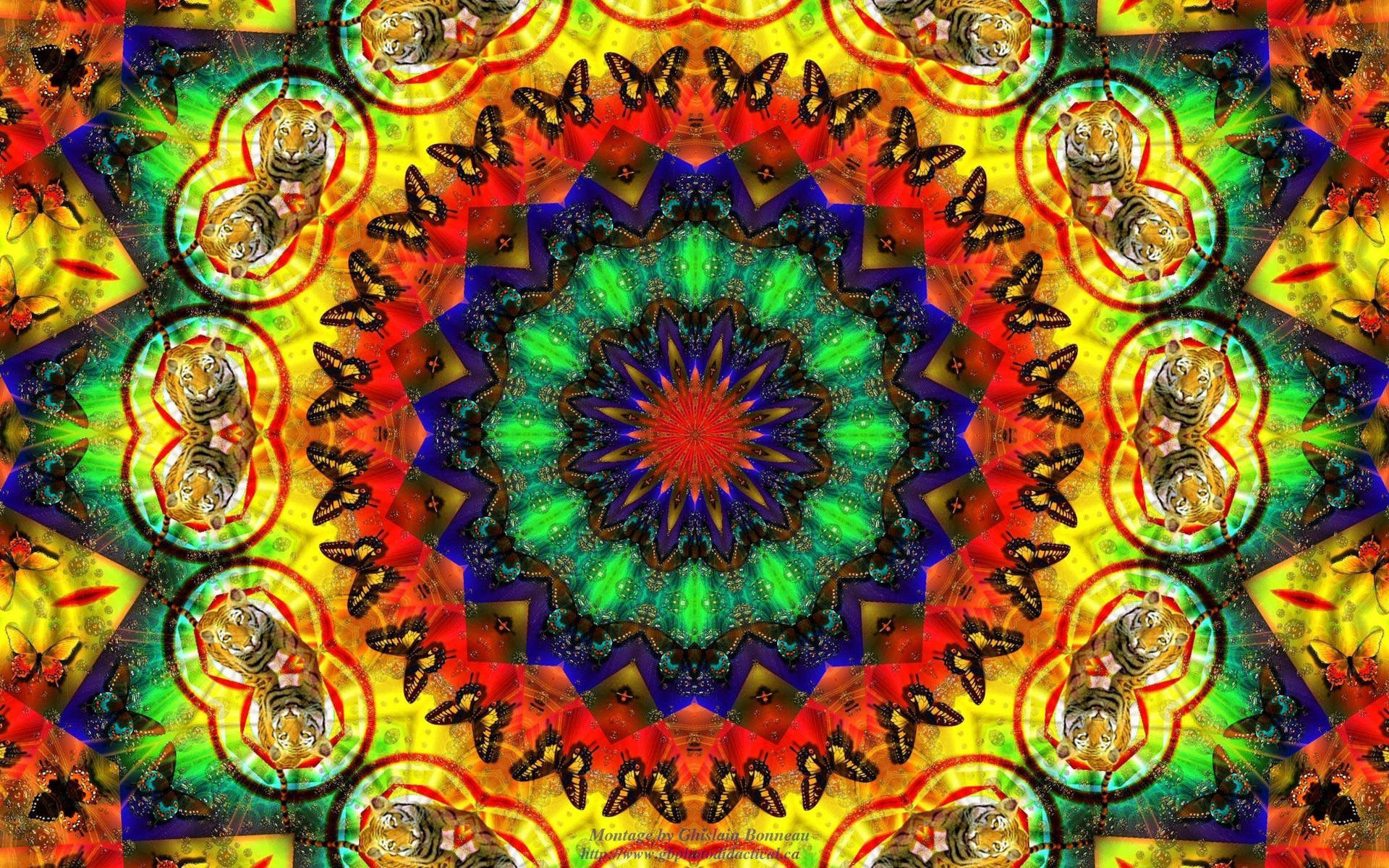Trippy Dark Aesthetic Fractal Animals Wallpaper