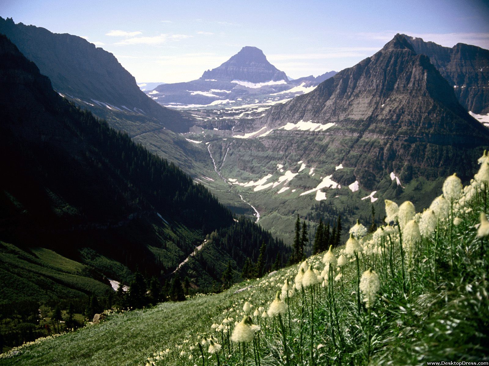Glacier National Park Montana Mount Reynolds