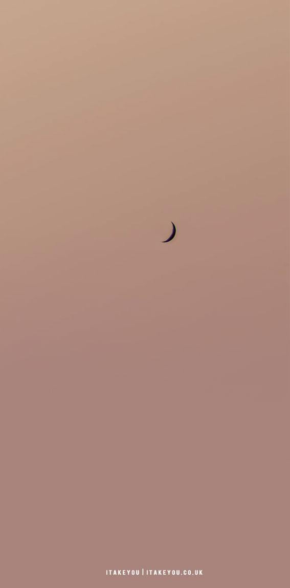 10 Aesthetic Brown Wallpapers Crescent Moon Wallpaper I Take You