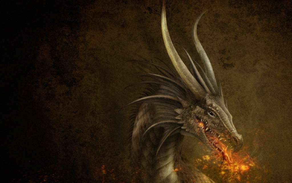 Flame Dragon Head Dragons Wallpaper