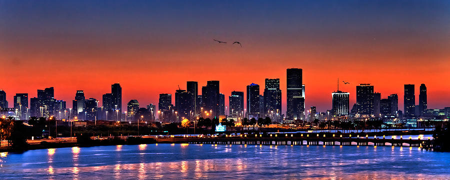 Miami Skyline By Samdobrow Photography