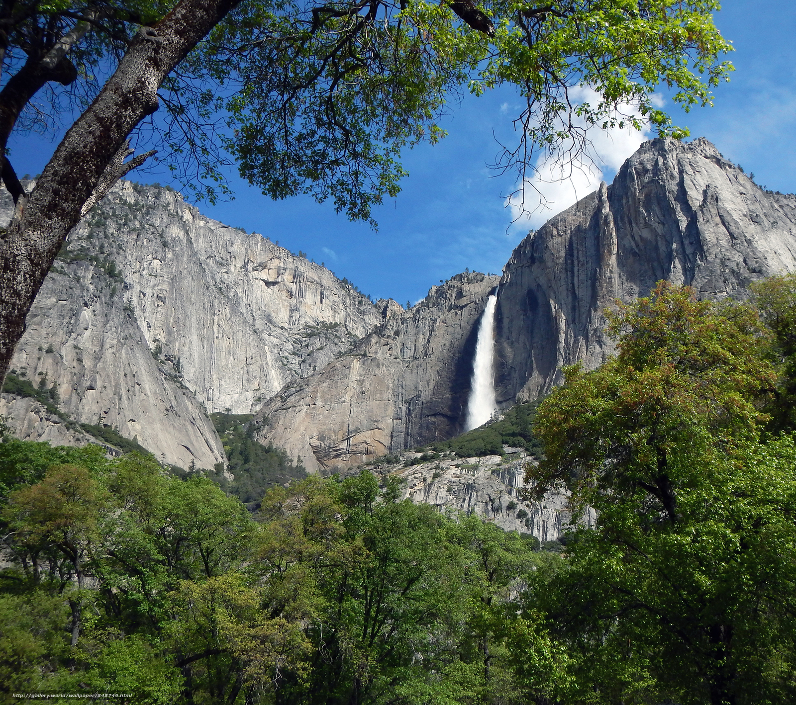 Wallpaper Yosemite National Park Mountains Waterfall