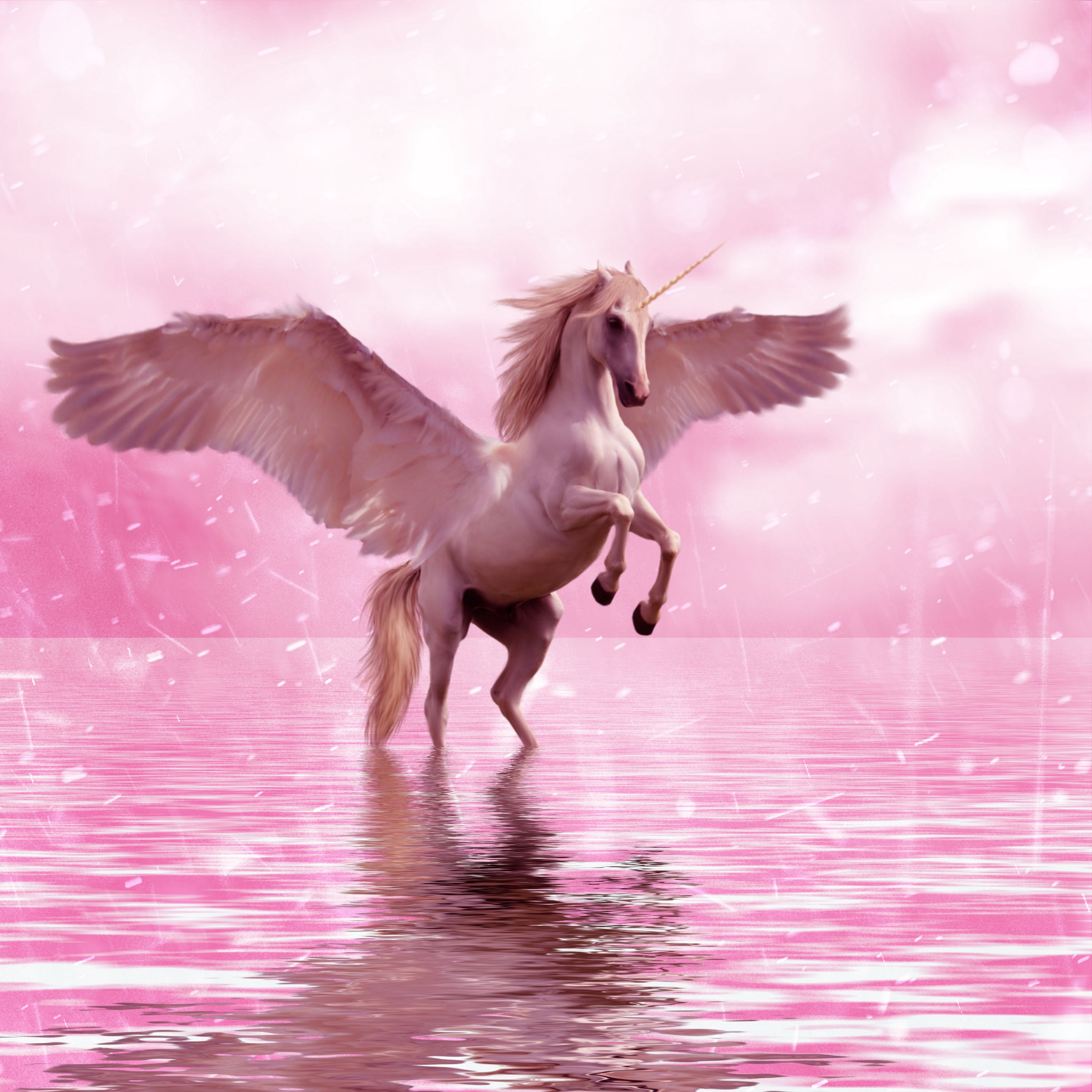Wallpaper Unicorn Wings Horse Fantasy iPad