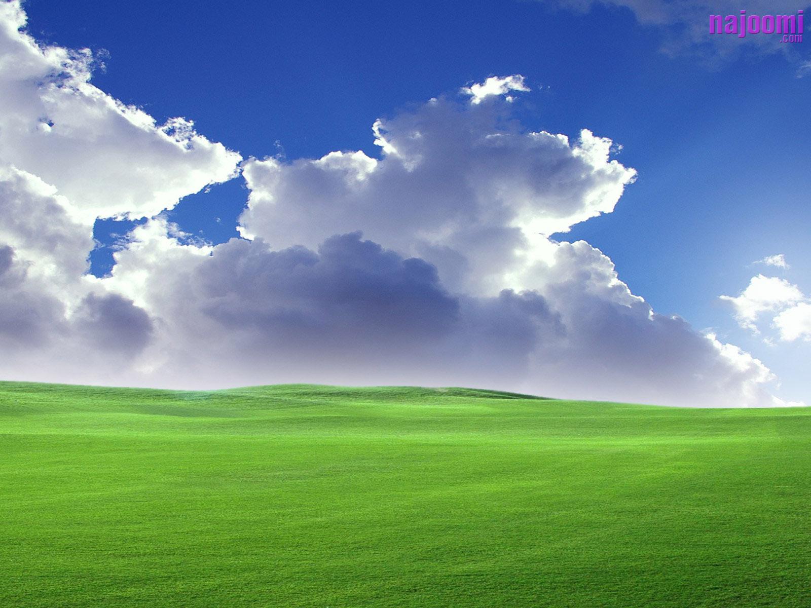Hình nền Windows XP 3D miễn phí sẽ khiến bạn sốt sắng với nhiều chủ đề độc đáo từ tự nhiên, động vật đến những hình ảnh vui nhộn. Bạn có thể dễ dàng tải chúng về và thay đổi hình nền desktop theo sở thích của mình.