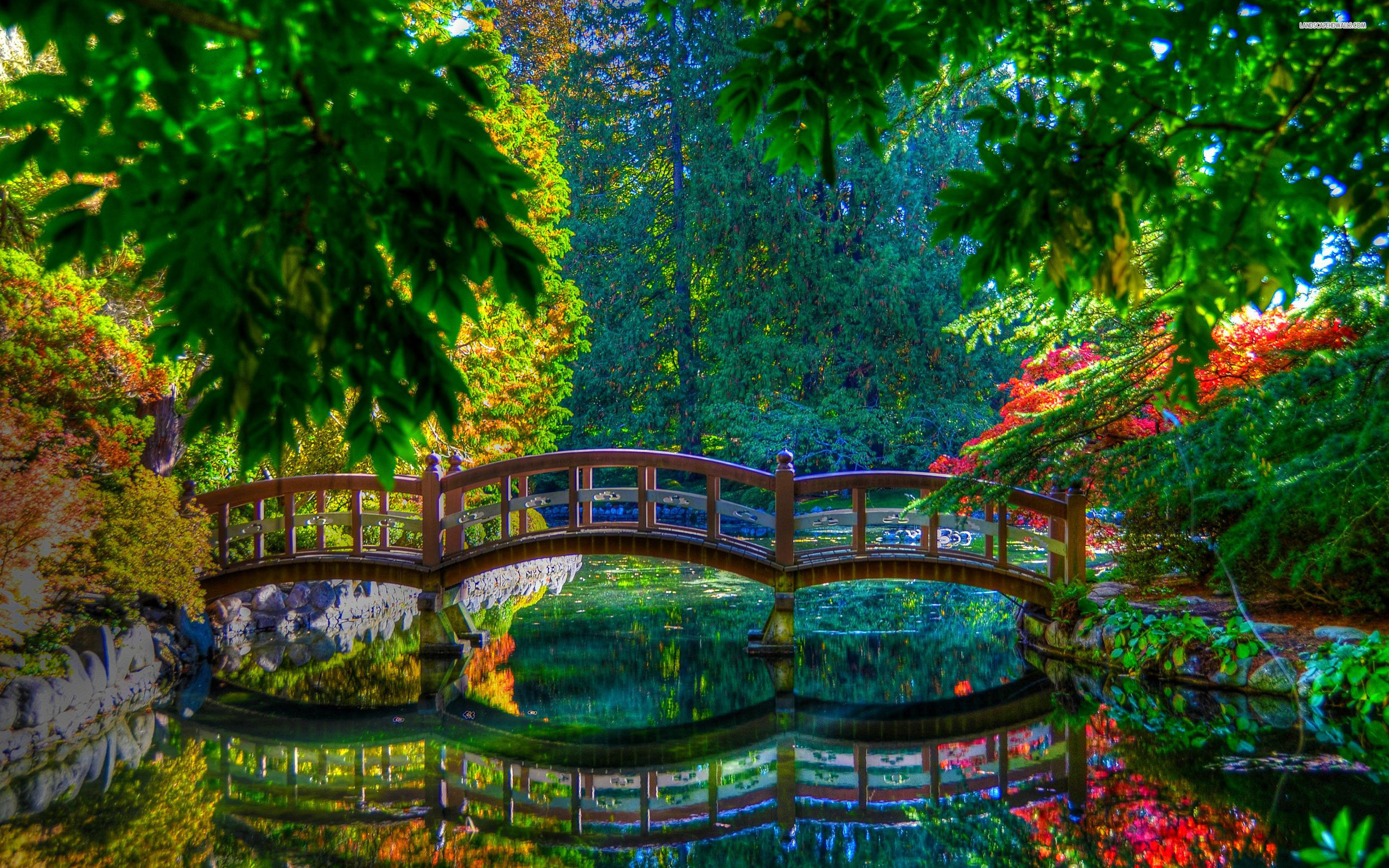 A serene wooden bridge arches over a tranquil pond in a vibrant autumn garden. The colorful foliage of trees and bushes is reflected in the water, creating a picturesque scene