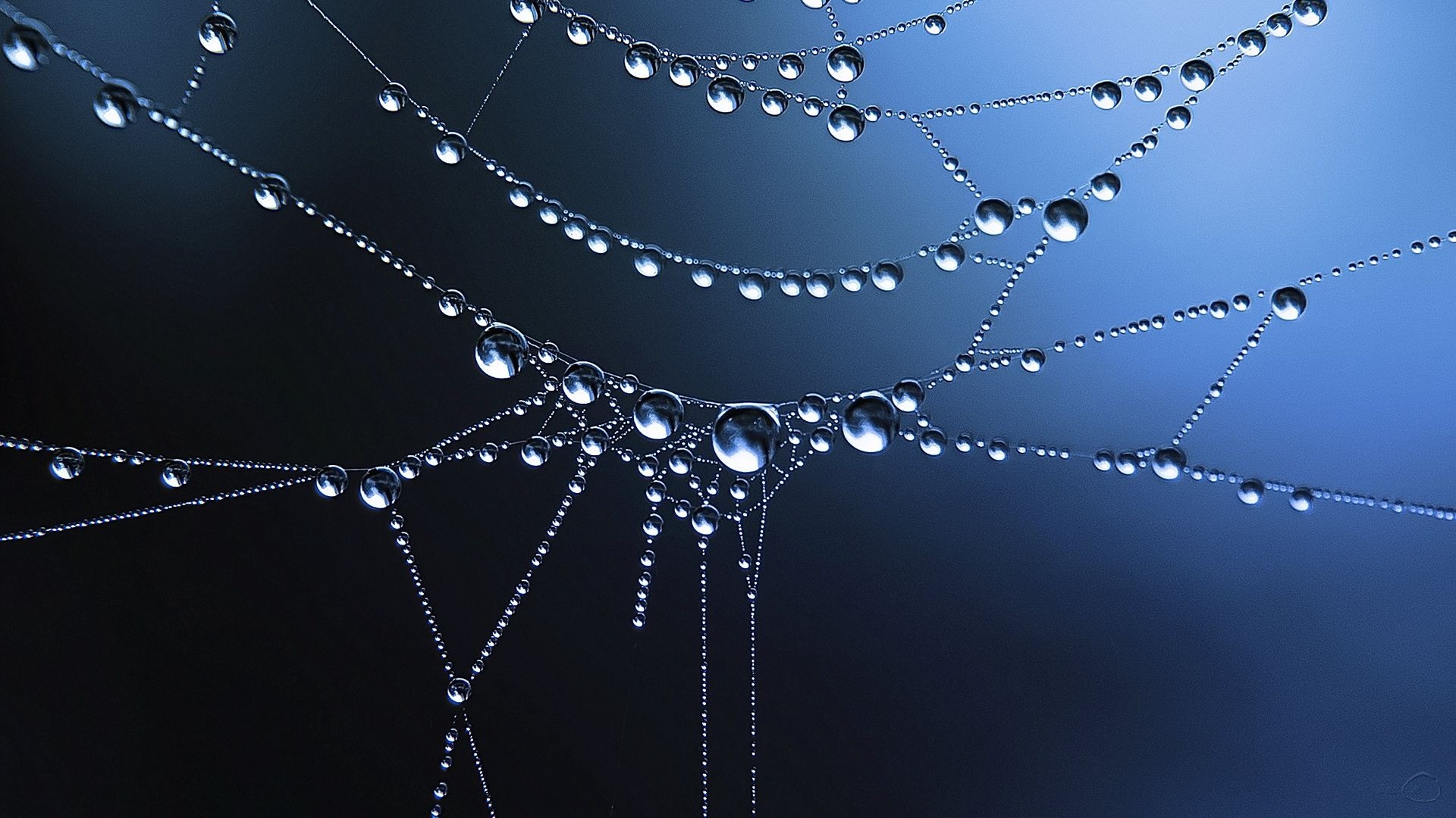 Water Droplet Background Wallpaper