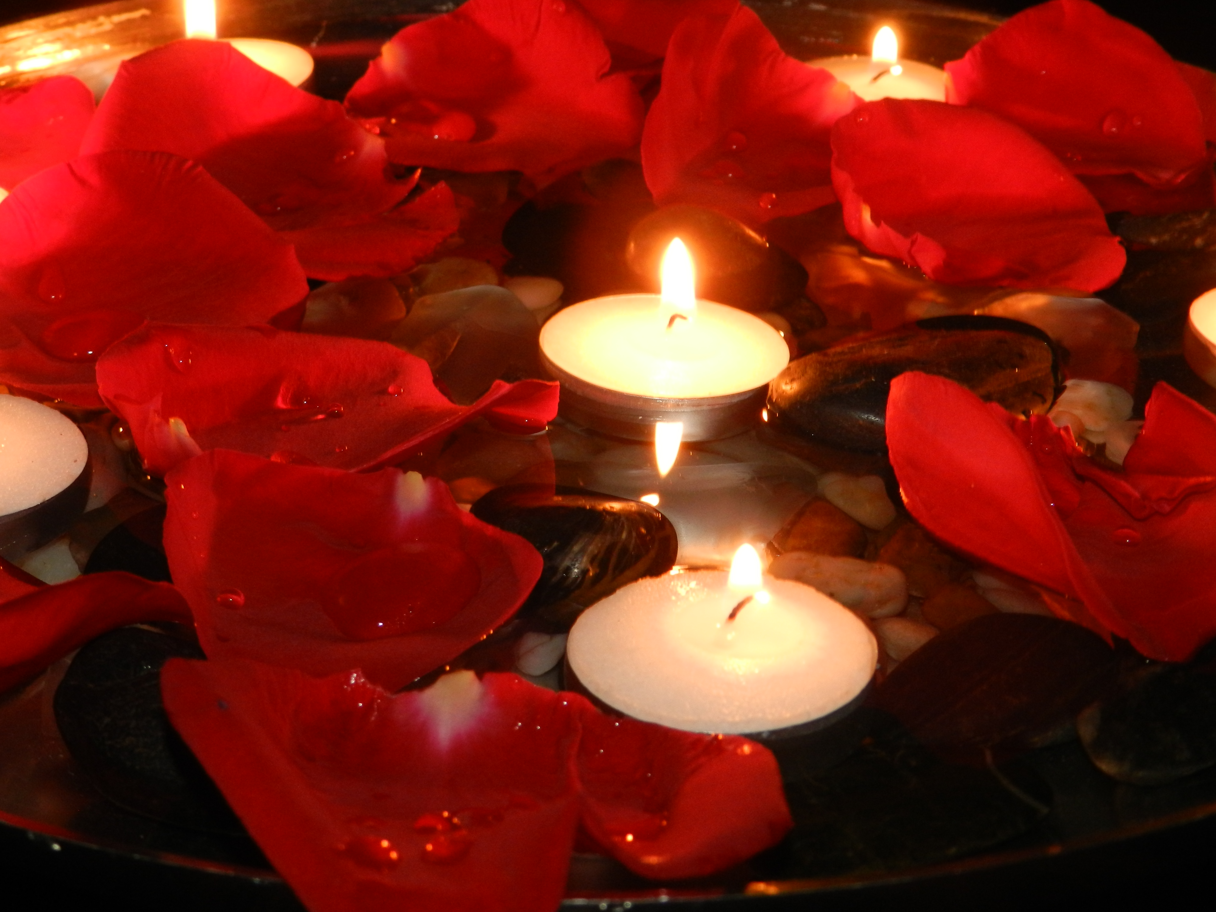 Rose Petals Candles Wallpaper