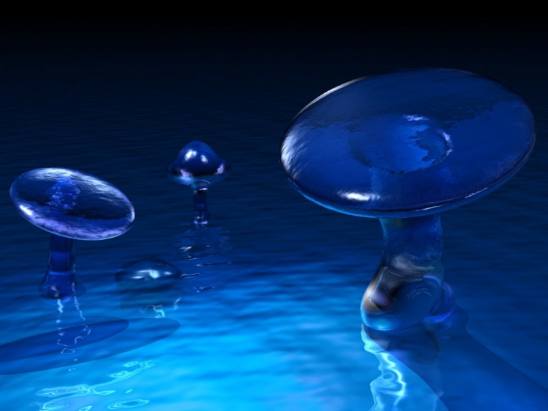 Amazing New Midnight Neon Blue Mushroom Plasma Wallpaper