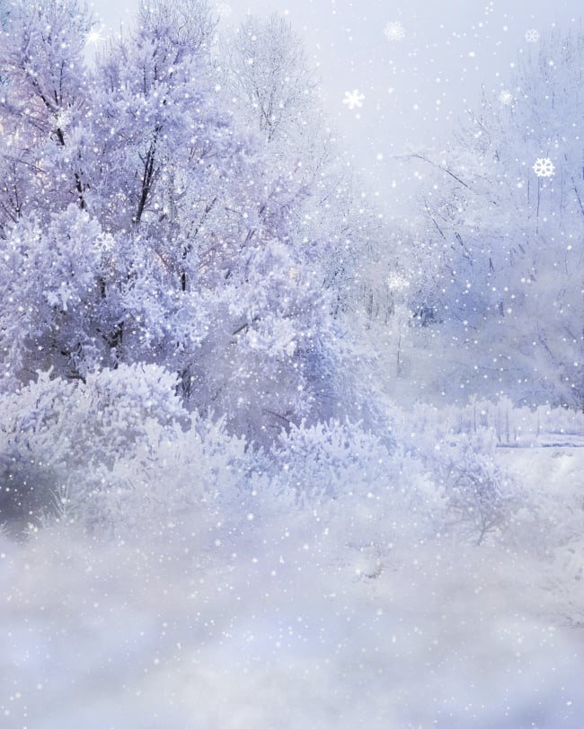 Winter Wonderland Backgrounds ButterflyWebGraphics