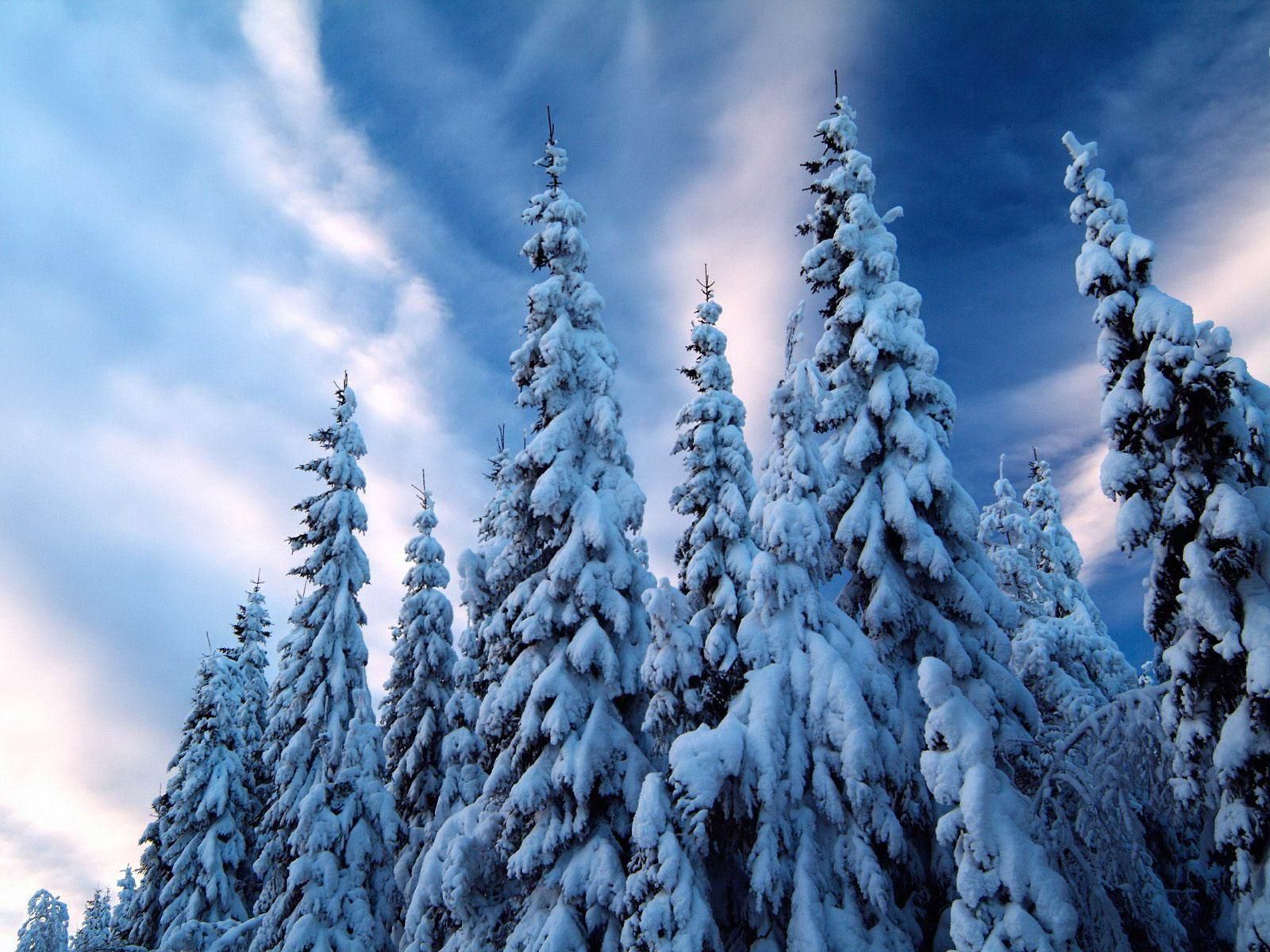 Desktop Wallpaper Winter Scenery