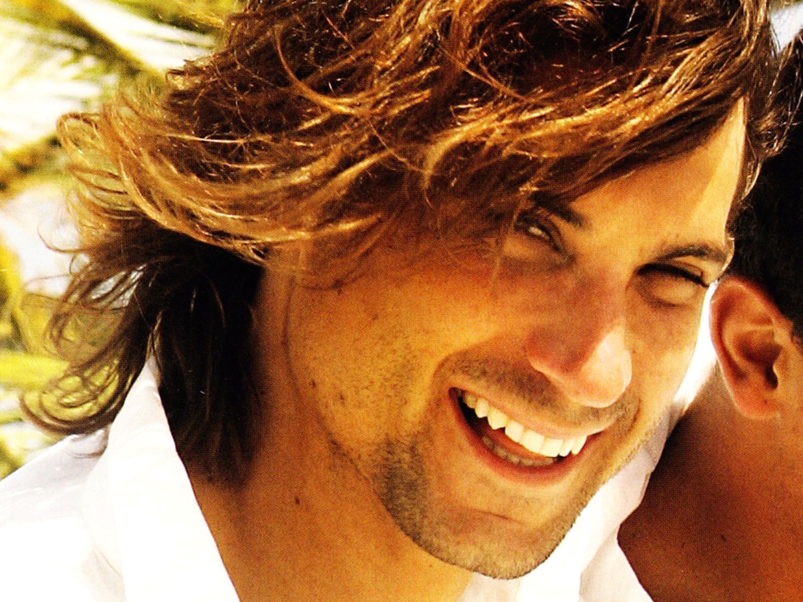 David Ferrer Wallpaper