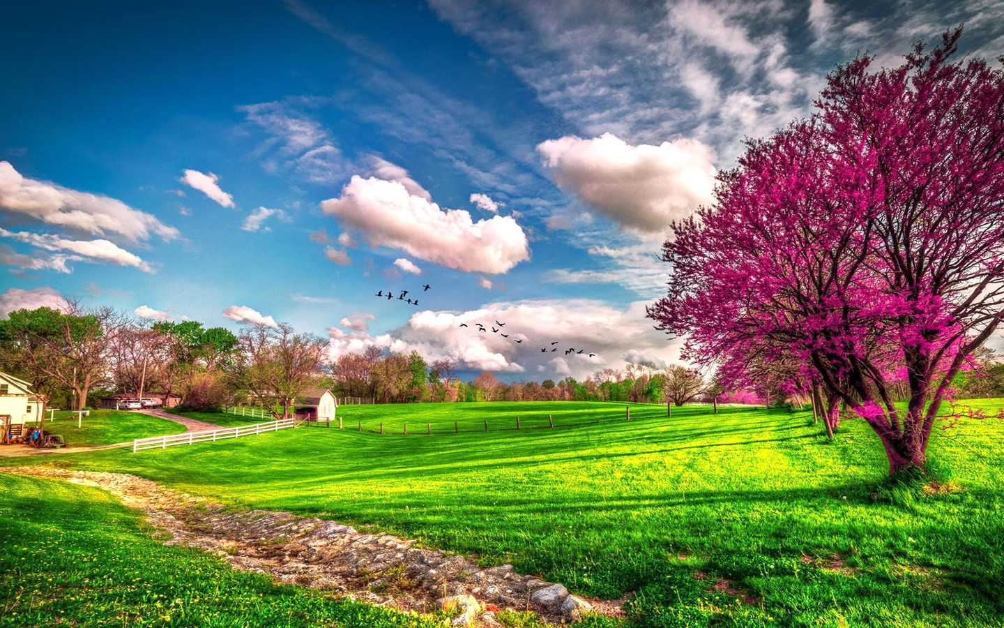 Landscape Beautiful Spring Nature HD Wallpaper