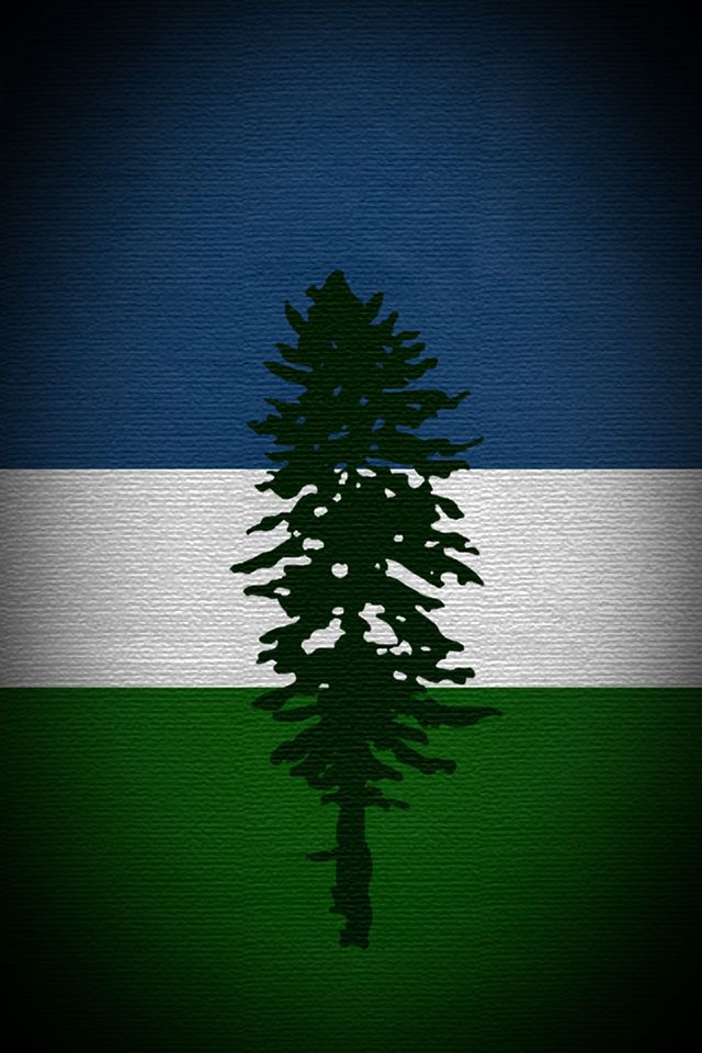Textured Cascadia Flag iPhone Wallpaper Anarchy Revolution Pin