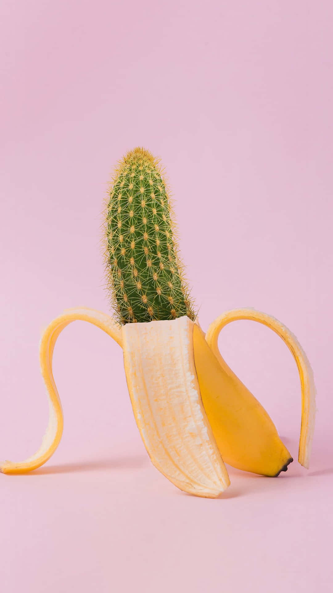 Cactus iPhone Wallpaper