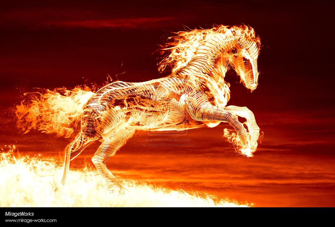 Cool Fire Horse Wallpaper Widescreen Desktop Background Image