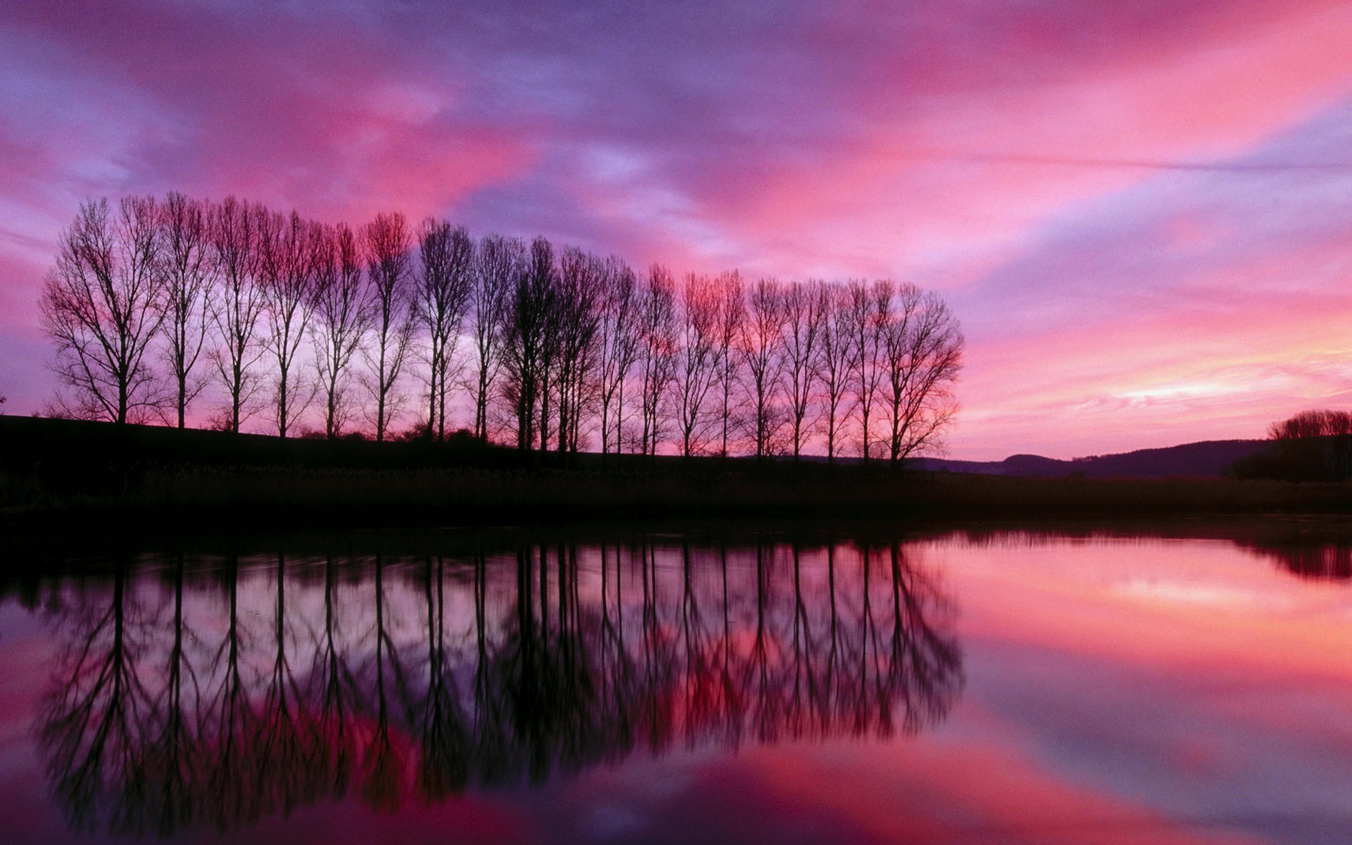 A mesmerizing pink and purple sunset reflected in a calm lake, with silhouetted trees lining the shore