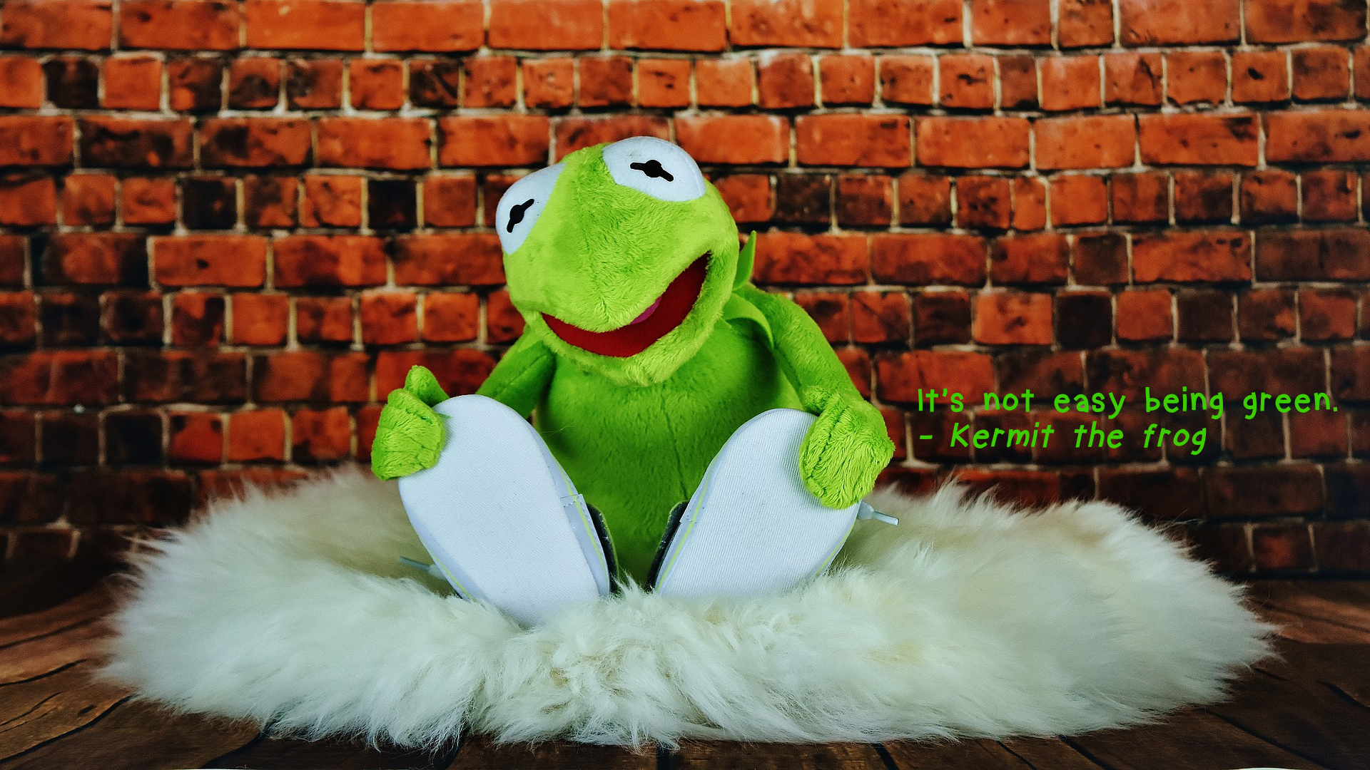 Kermit The Frog Wallpaper On