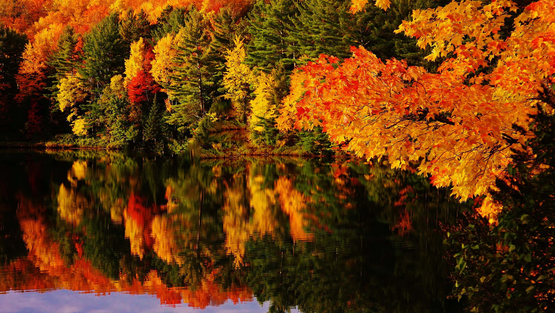 4k Fall Wallpaper