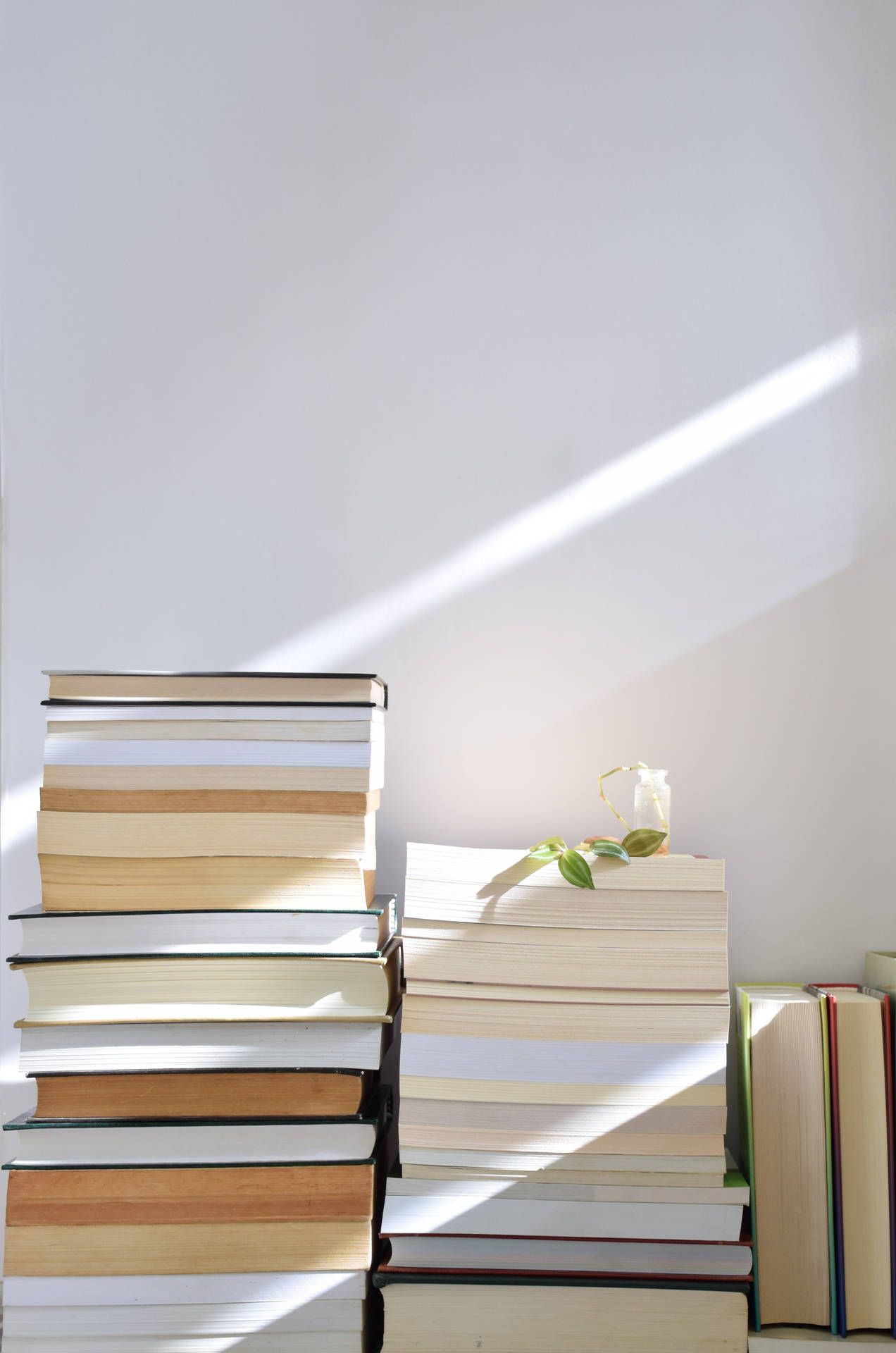 Book Aesthetic Wallpaper