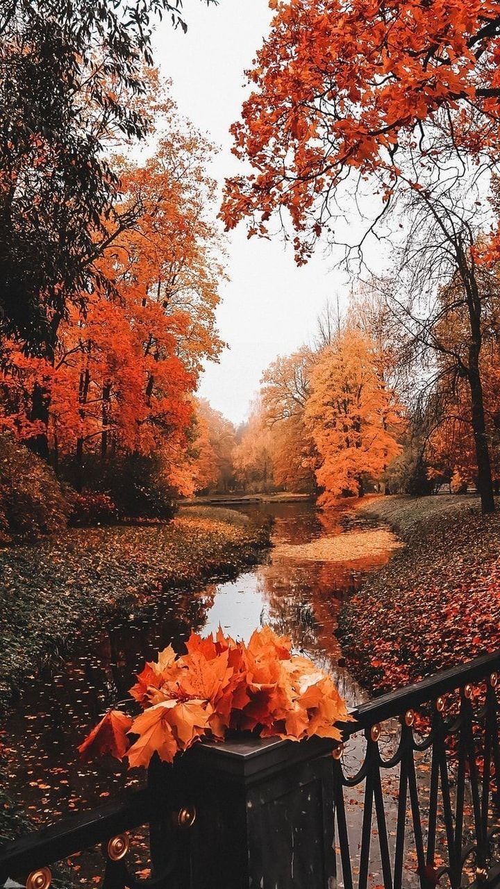 Beautiful Autumn Wallpaper In Scenery Fall