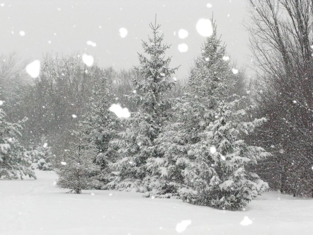 Wisconsin Winter Scenery