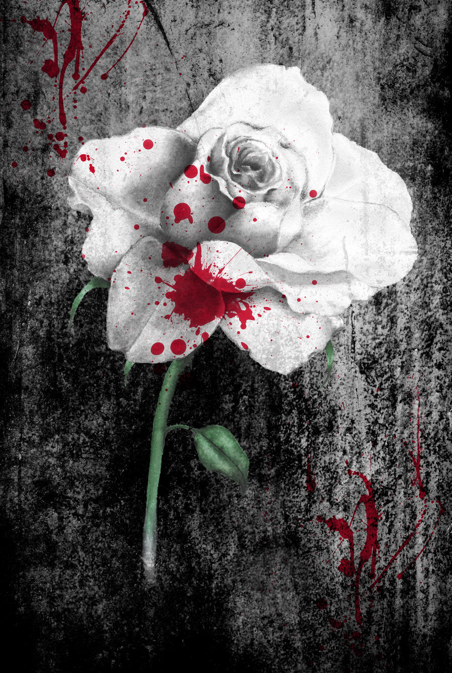 Bloody White Rose Wallpaper By Georgia Caldera