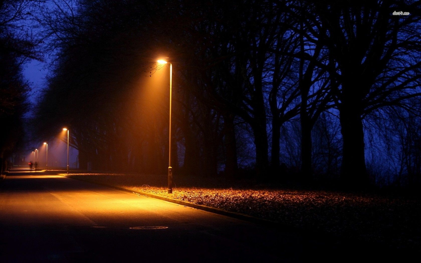 Street Lamp HD Wallpaper