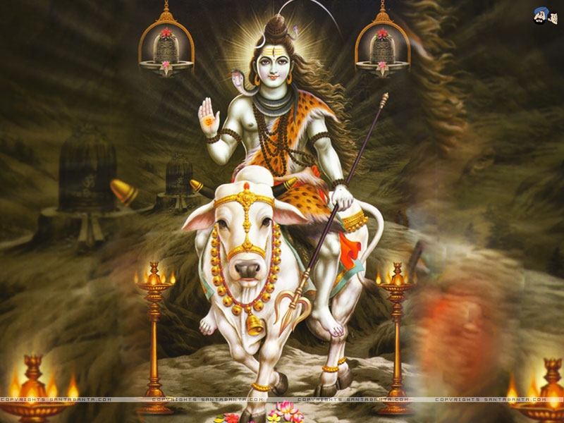Wallpaperlord Shiva Wallpaper Of Lord