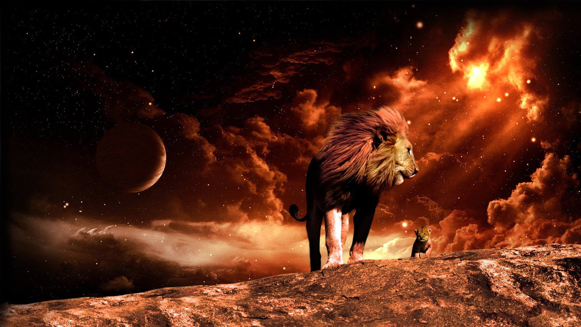 Angry Lion Wallpaper Hd