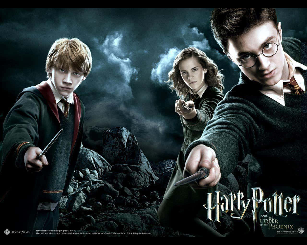 Harry Potter All Characters Wallpaper