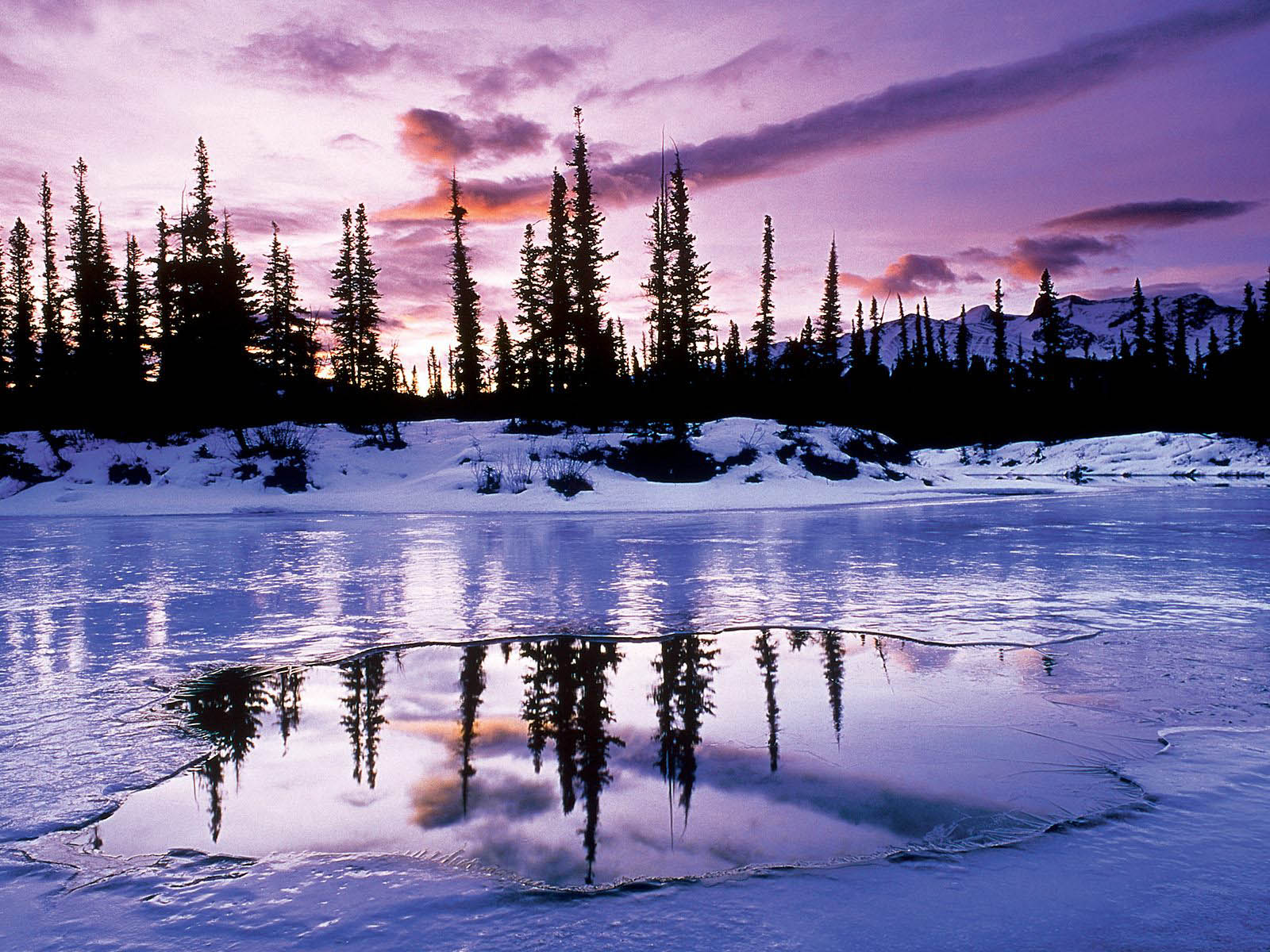 A serene winter landscape at sunset with a frozen lake reflecting the silhouette of pine trees and a vibrant purple sky