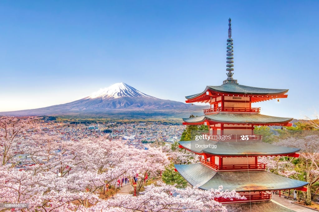 Free download Red Chureito Pagoda And Sakura Trees With Mount Fuji ...