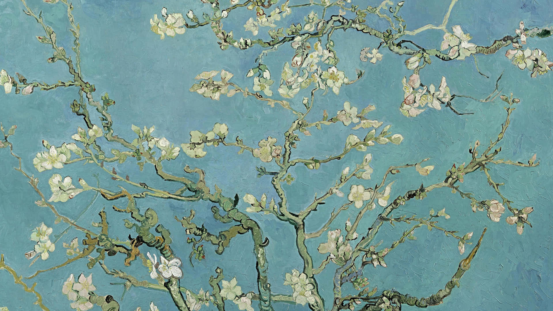 Almond Blossoms Wallpaper