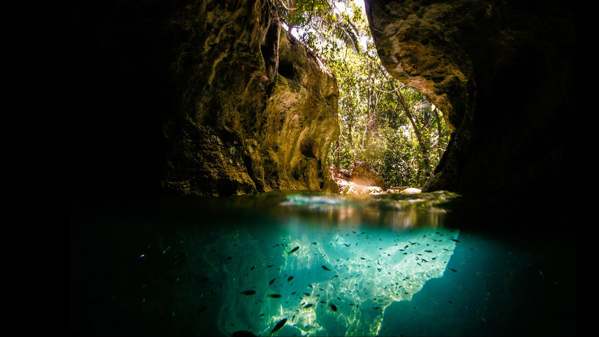 A mesmerizing underwater cave scene, illuminated by natural light filtering through a lush green opening above. Small fish swim in the crystal-clear turquoise water, adding life to the tranquil and mysterious atmosphere