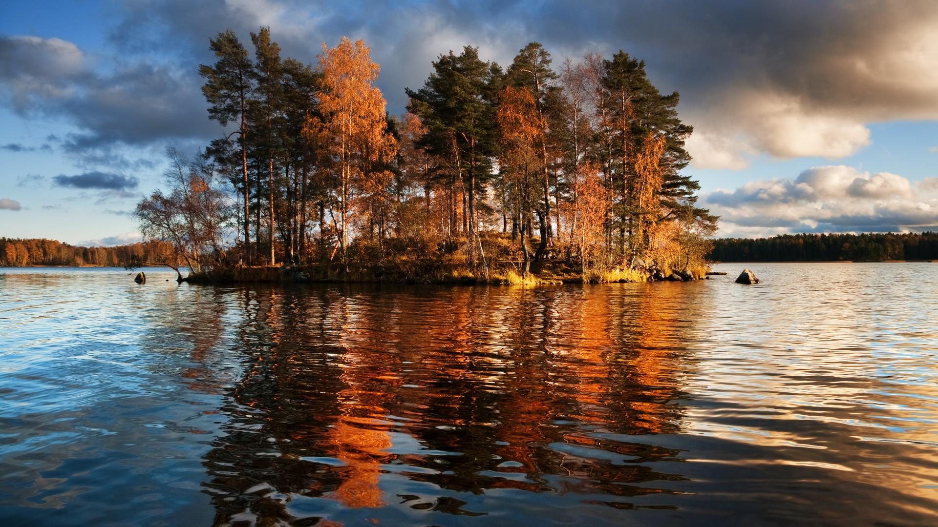 Lake Trees Autumn Fall Reflection Wallpaper