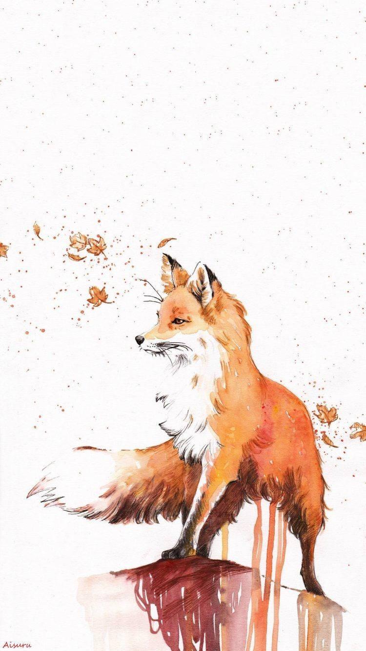 Fox Wallpaper