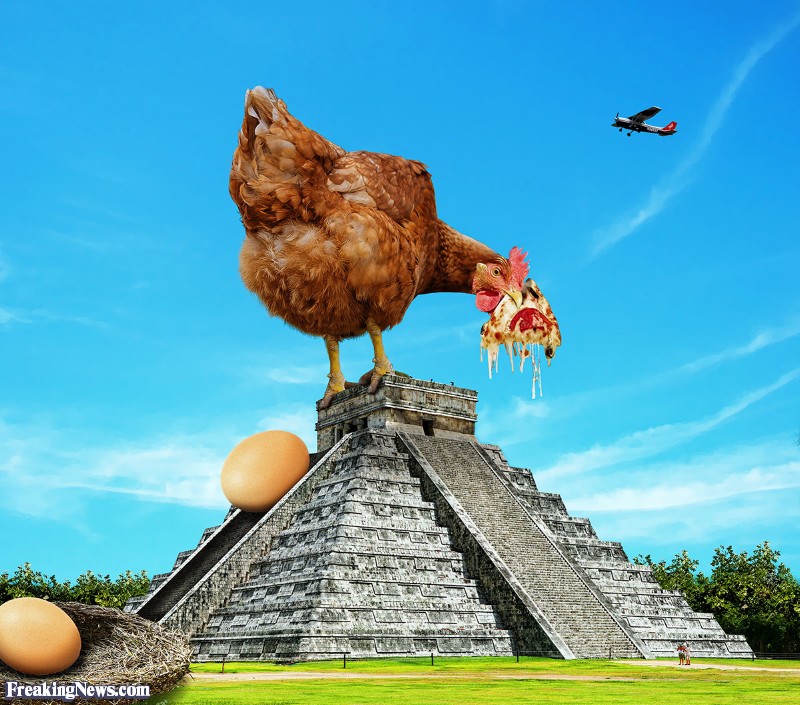 Funny Chicken Pictures Freaking News