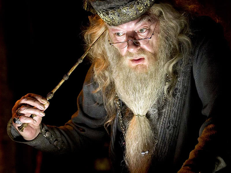Harry Potter Albus Dumbledore 8gy