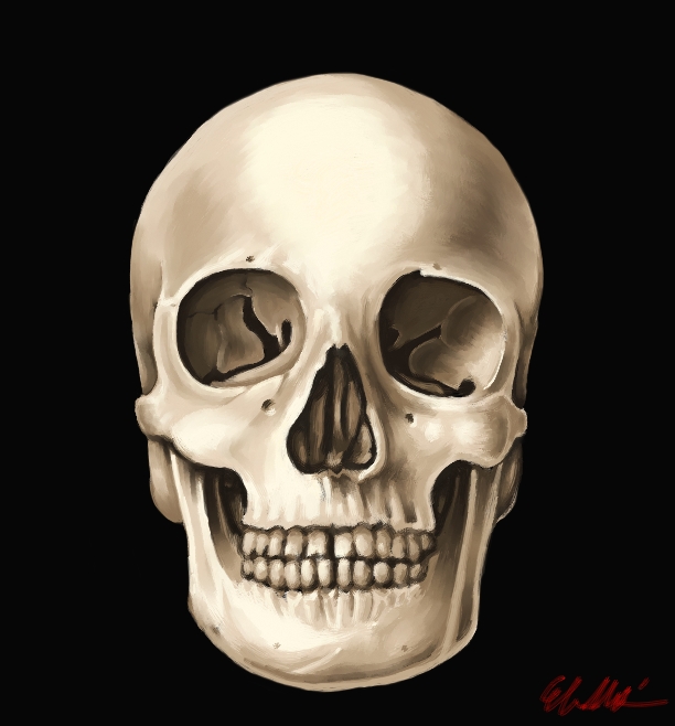 Skull On Black Background By Captainnellio