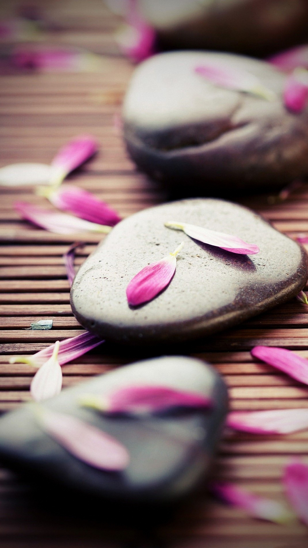 Pink Cute Petals iPhone Wallpaper HD
