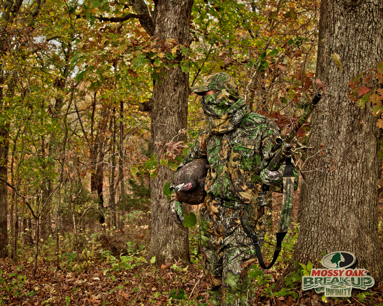 Displaying Image For Deer Hunting Camouflage Background