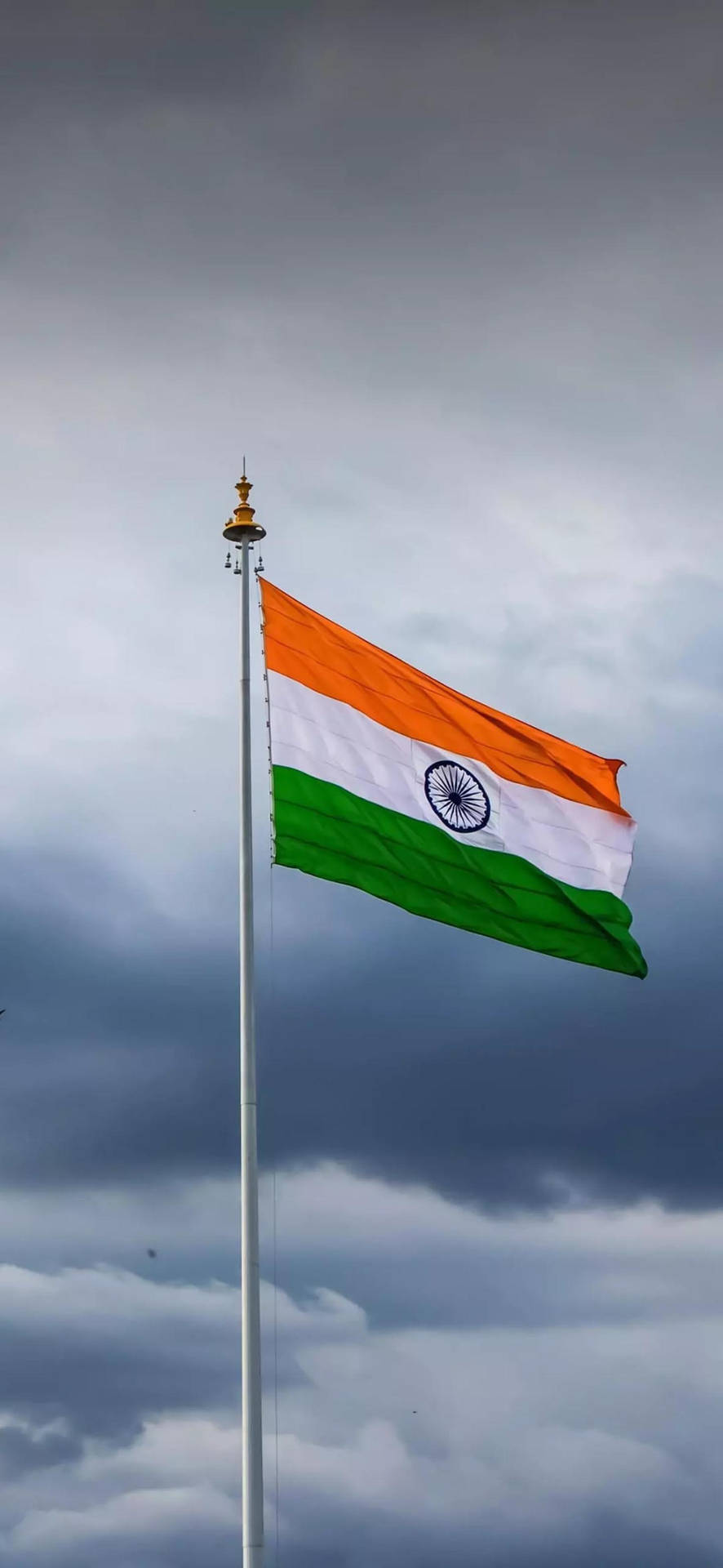 Indian Flag Mobile Wallpaper