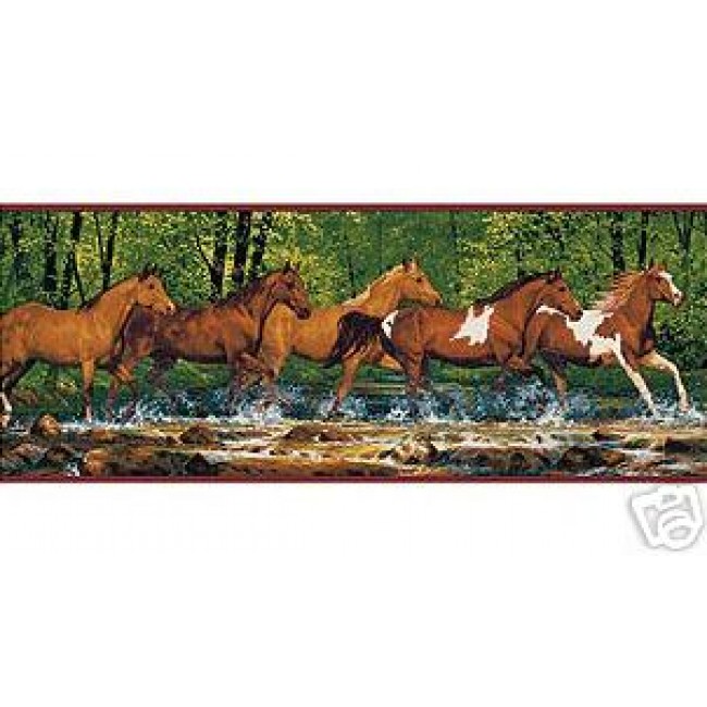 Free download SPRING CREEK RUN HORSES WALLPAPER BORDER All 4 Walls