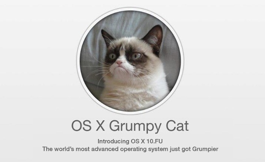  but at the very least you can have the OS X Grumpy Cat wallpaper